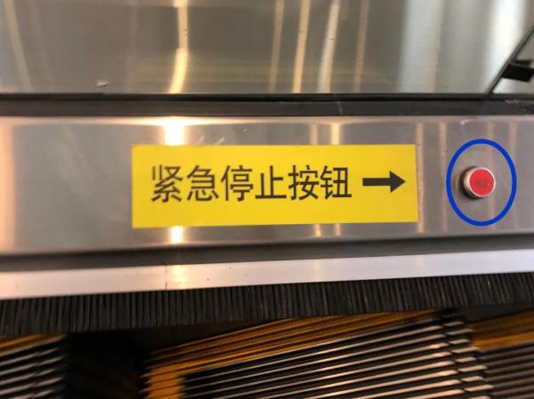 特朗普喊话普京假如俄乌止战下一秒世界将发生什么？