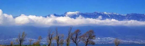 改变人生的,不是大道理,而是小习惯 改变人生的,不是大道理,而是小习惯