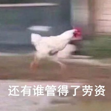 孩子放假,家长要做些什么?学生应该注意…… 孩子放假,家长要做些什么?学生应该注意……