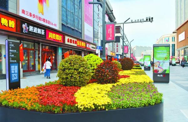 在“巷”往时光里享受诗意栖居 蝶变小街小巷让幸福生活触手可及 在“巷”往时光里享受诗意栖居 蝶变小街小巷让幸福生活触手可及