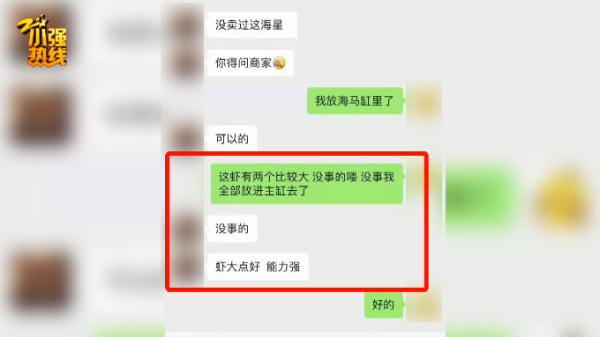 抓了一整晚抓不着！杭州女子养的“宝贝”被咬烂，罪魁祸首竟是…