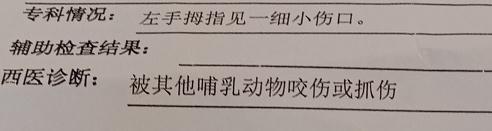 惊险！2岁孩子景区喂马，突然被马咬住了手不松口
