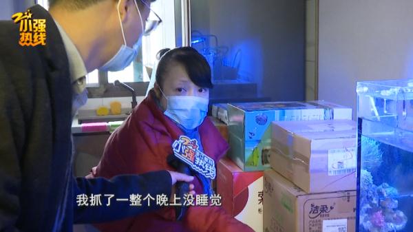 抓了一整晚抓不着！杭州女子养的“宝贝”被咬烂，罪魁祸首竟是…
