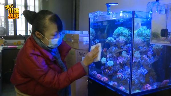 抓了一整晚抓不着！杭州女子养的“宝贝”被咬烂，罪魁祸首竟是…