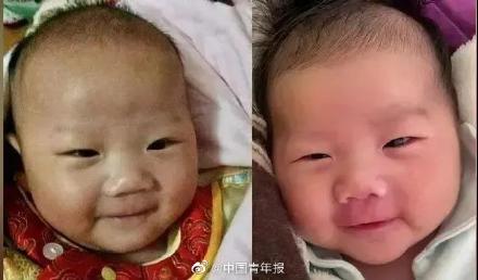 简直一模一样！东东“回来”了