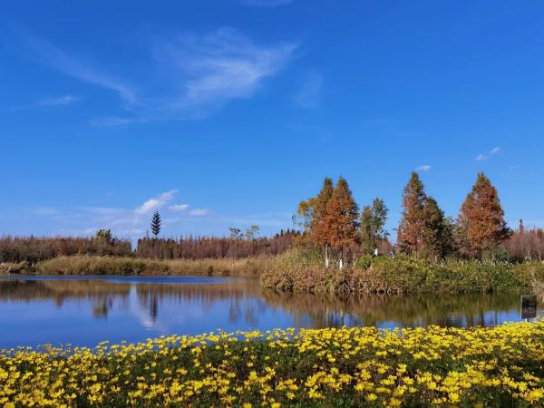 要！下！雪！寒潮警告：云南最低气温降至-8 ℃！