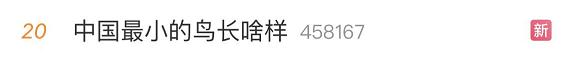 中国最小的鸟！超可爱，名字很“霸气”