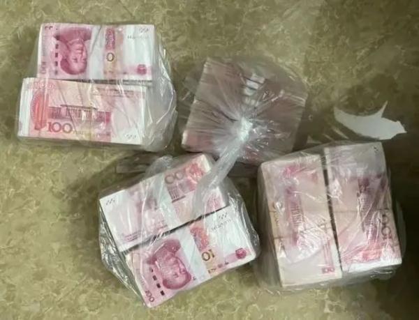 70万重达8公斤保姆直接用塑料袋把雇主家的现金拎走了