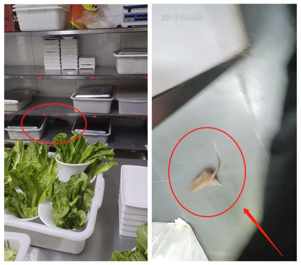 这家知名火锅店“翻车”了，很多人都曾吃过……