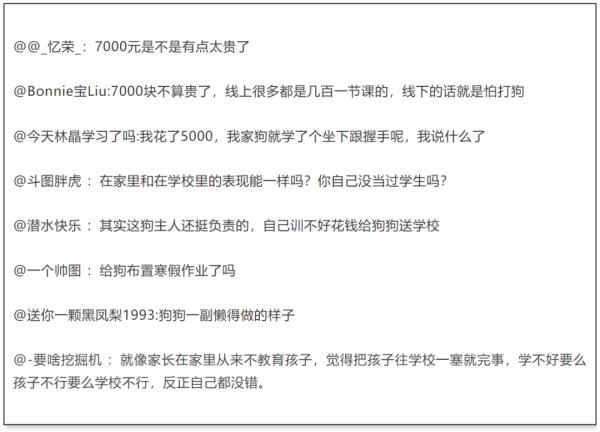 上海男子花7000元送狗狗学礼仪？后续：还是被咬了，但是不弃养