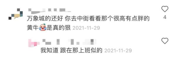 你抽的“盲盒”也许是黄牛“刷”过的！