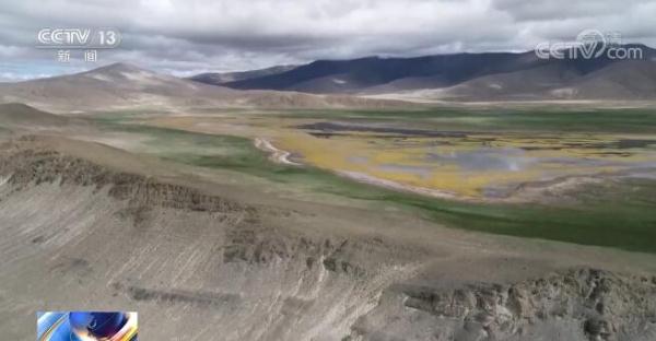 西藏考古研究成果 | 玛不错遗址揭开4000年前青藏高原渔猎图景