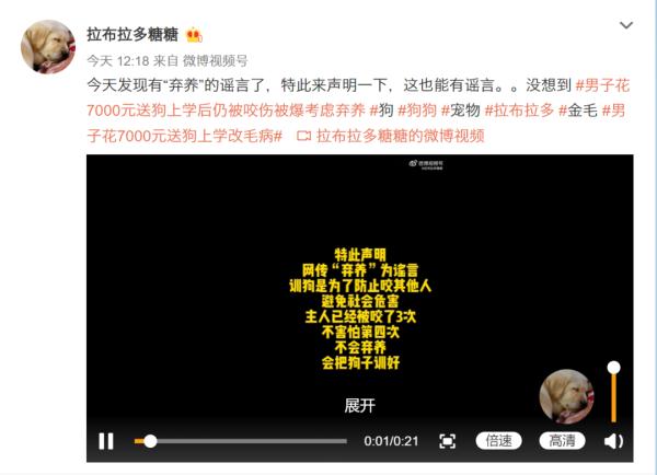 上海男子花7000元送狗狗学礼仪？后续：还是被咬了，但是不弃养