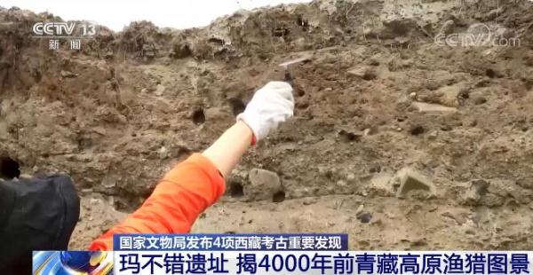 西藏考古研究成果 | 玛不错遗址揭开4000年前青藏高原渔猎图景