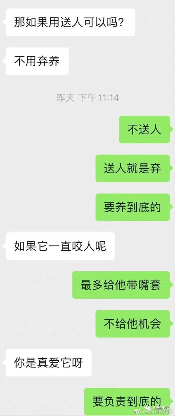 上海男子花7000元送狗狗学礼仪？后续：还是被咬了，但是不弃养