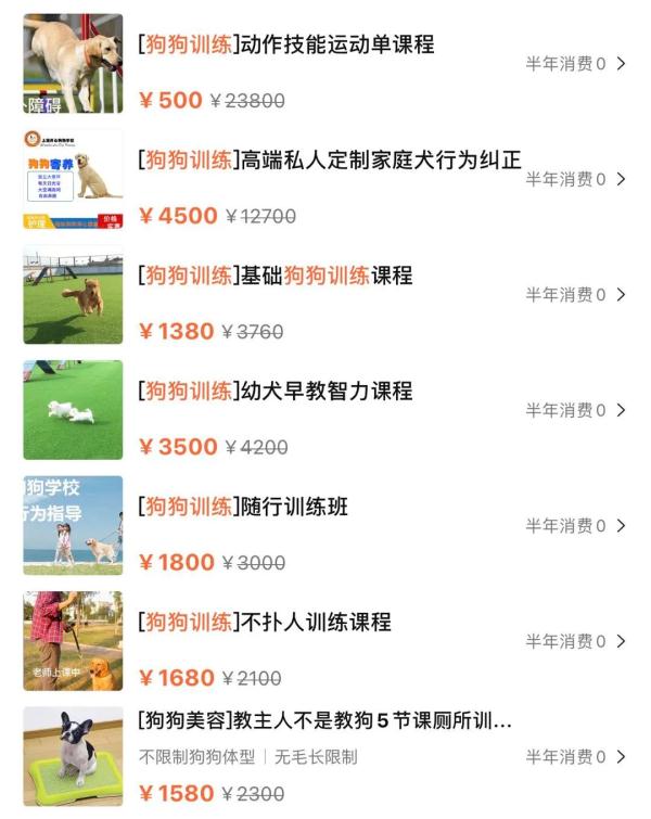 上海男子花7000元送狗狗学礼仪？后续：还是被咬了，但是不弃养