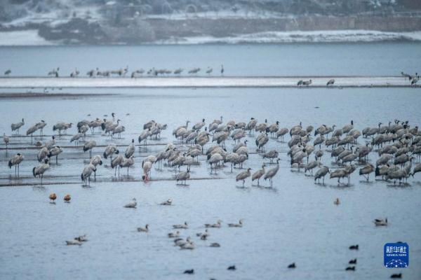 云南会泽：冬景如画