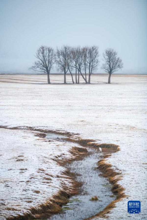 云南会泽：冬景如画
