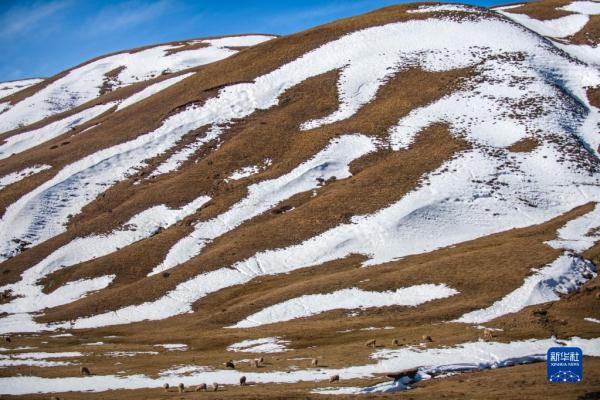 云南会泽：冬景如画