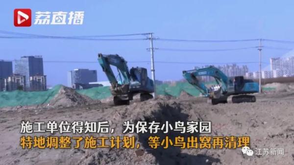 为了这窝小生命,挖掘机霸气转向! 为了这窝小生命,挖掘机霸气转向!