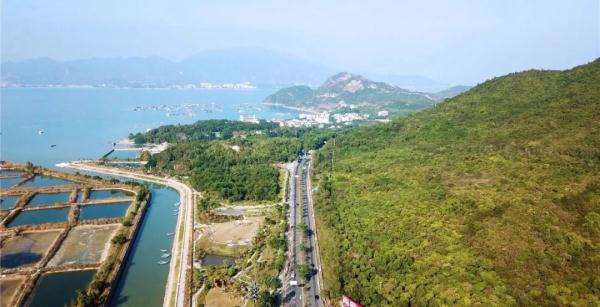 深圳为野生动物搭一座专用桥，计划5月完工！