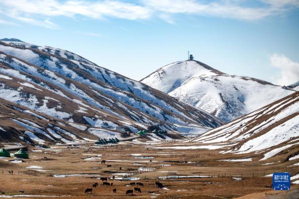 云南会泽：冬景如画