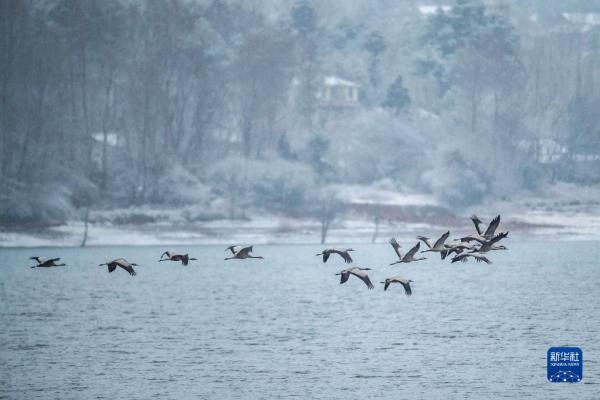 云南会泽：冬景如画