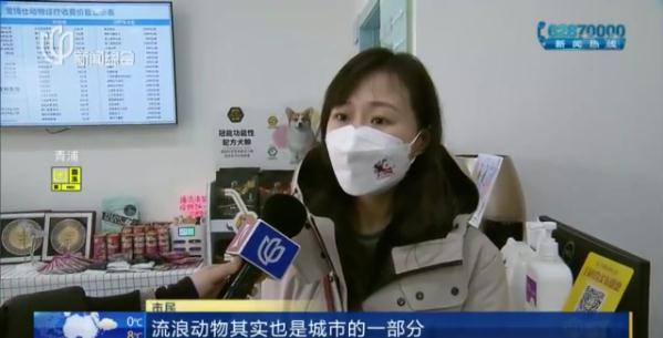 你知道吗？在上海，流浪动物能“上医保”了