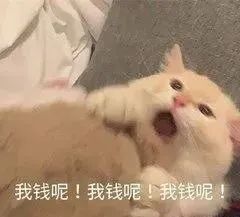 要照顾8个孩子和婆婆！厦门“全职太太”离婚提出家务劳动补偿……