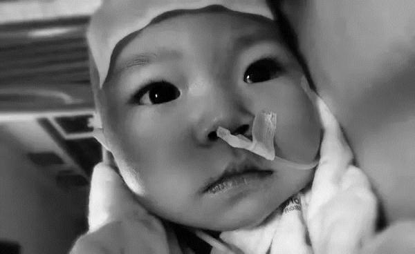 “奥利奥”小妹妹,一路走好...... “奥利奥”小妹妹,一路走好......