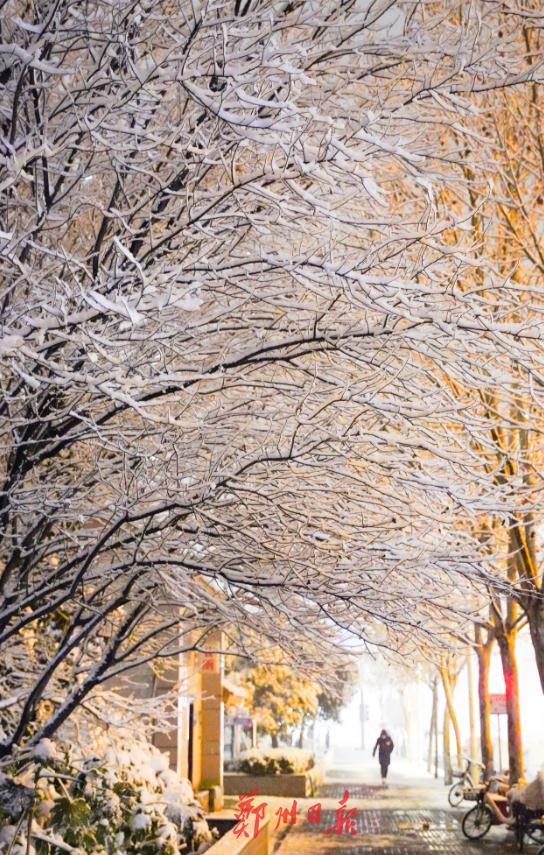 雪来了！1月20日至23日郑州有持续降雪天气