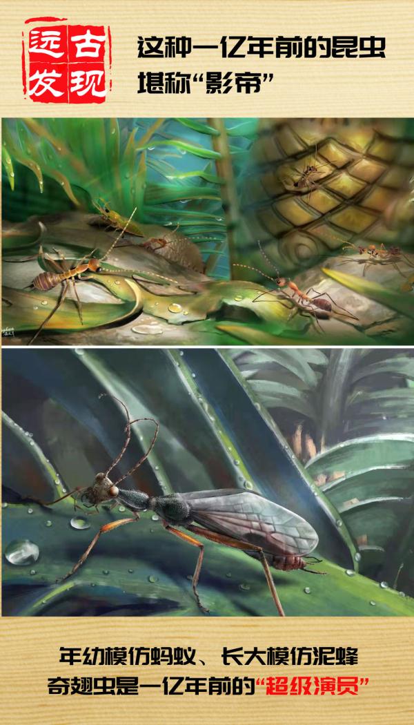远古发现丨这种1亿年前的昆虫堪称“影帝”