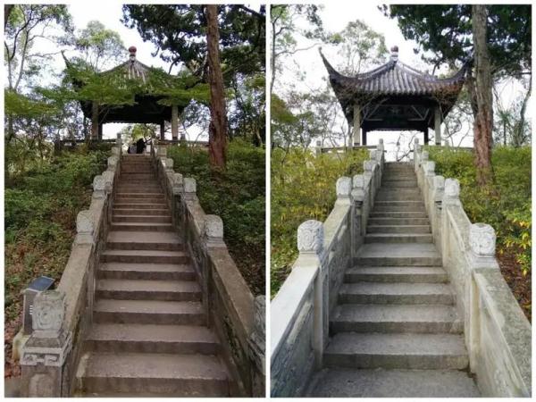 上海这座500岁的古典园林完成大修，开放时间定了！明清建筑美图放送→