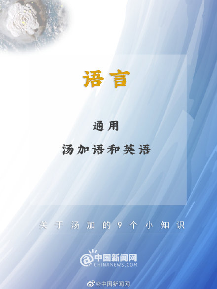 汤加是个什么样的国家?关于汤加的9个小知识 汤加是个什么样的国家?关于汤加的9个小知识