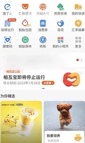 宠物领养小程序里竟能领养“大活人”?相关审核形同虚设 宠物领养小程序里竟能领养“大活人”?相关审核形同虚设