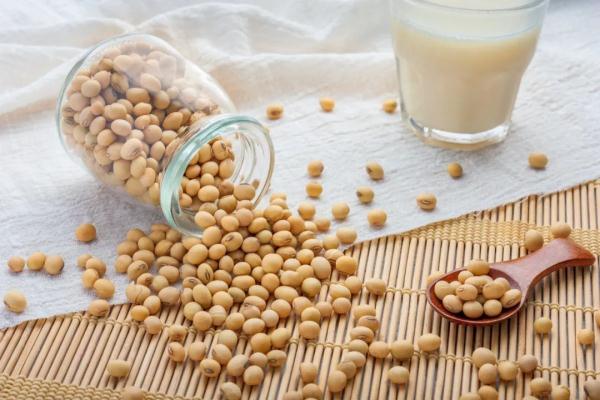 还认为大蒜、洋葱能抗癌？营养防癌也要科学！