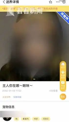 宠物领养小程序里竟能领养“大活人”?相关审核形同虚设 宠物领养小程序里竟能领养“大活人”?相关审核形同虚设