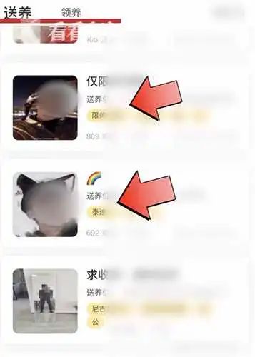 宠物领养小程序里竟能领养“大活人”?相关审核形同虚设 宠物领养小程序里竟能领养“大活人”?相关审核形同虚设