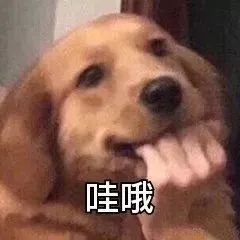 6666、8888……粤E号牌即将上新！手把手教你选靓号！