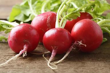 冬季进补“仙人骨”!排毒通便、增免疫,错过太可惜! 冬季进补“仙人骨”!排毒通便、增免疫,错过太可惜!