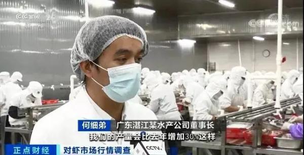 这种海鲜价格腰斩！很多人都爱吃！