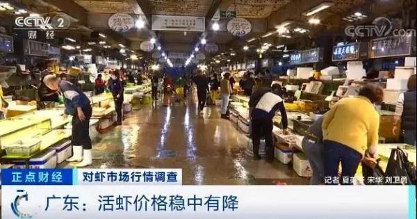 这种海鲜价格腰斩！很多人都爱吃！