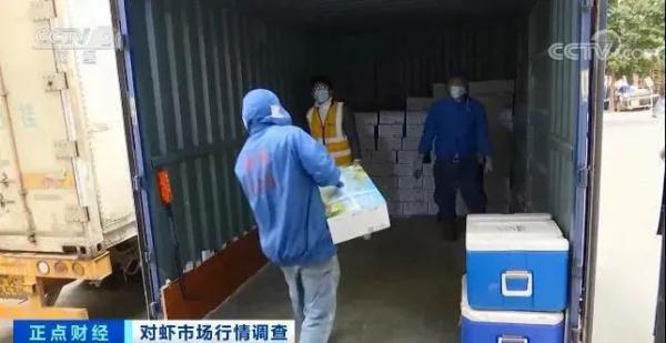 这种海鲜价格腰斩！很多人都爱吃！