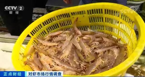 这种海鲜卖爆了！价格腰斩！有品类销量暴增超200%！你买了吗？