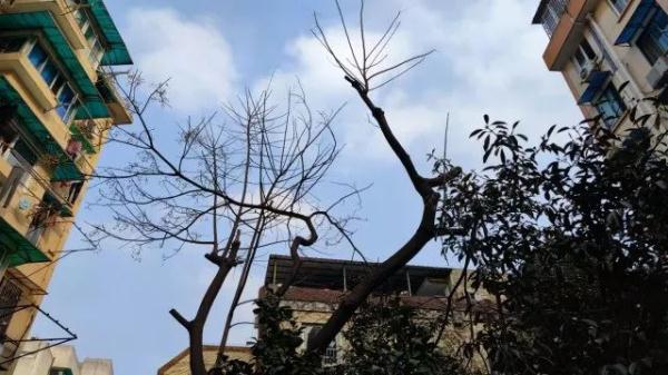 “天才译者”金晓宇全网刷屏，父亲说出了最大心愿！或许我们可以给他细水长流的温柔→