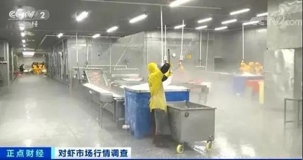 这种海鲜价格腰斩！很多人都爱吃！