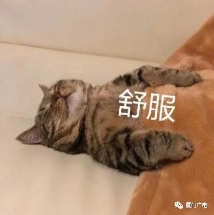 大寒至！厦门天气迎大反转！湿冷暴击又来了！明起降温降雨