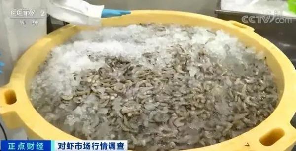 这种海鲜价格腰斩！很多人都爱吃！