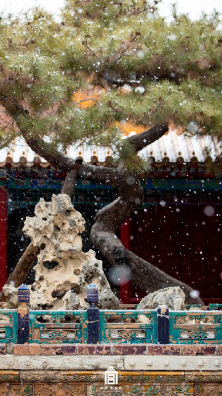 故宫的雪景新片来了