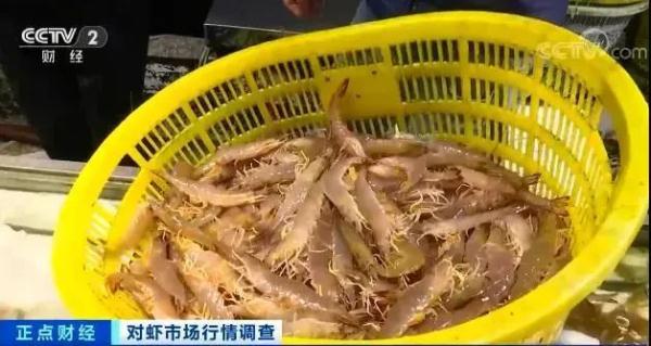 这种海鲜价格腰斩！很多人都爱吃！